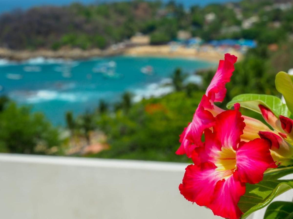 Casa Cascada - Adults Only Hotel Puerto Escondido  Bagian luar foto